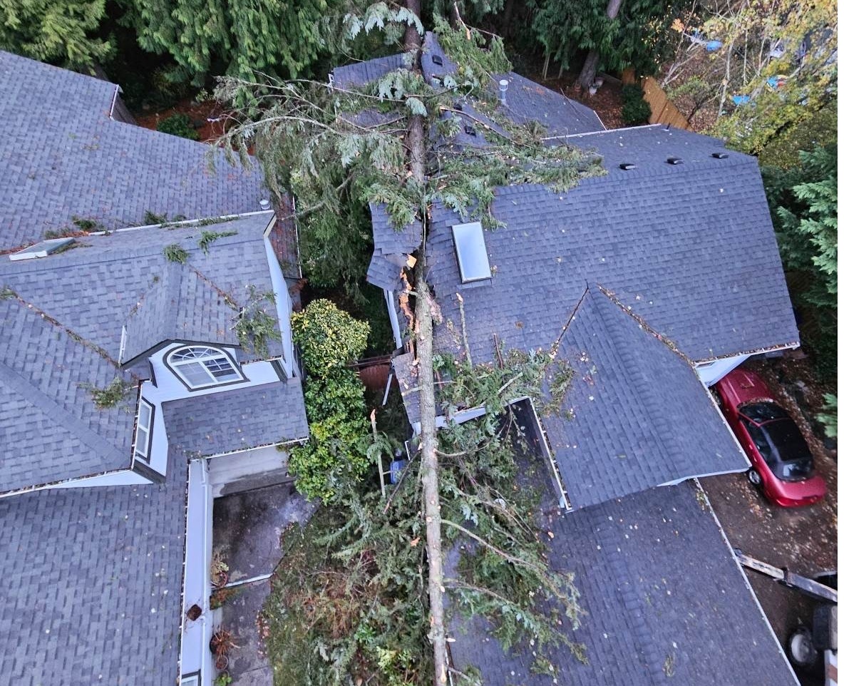 Timber hauling service