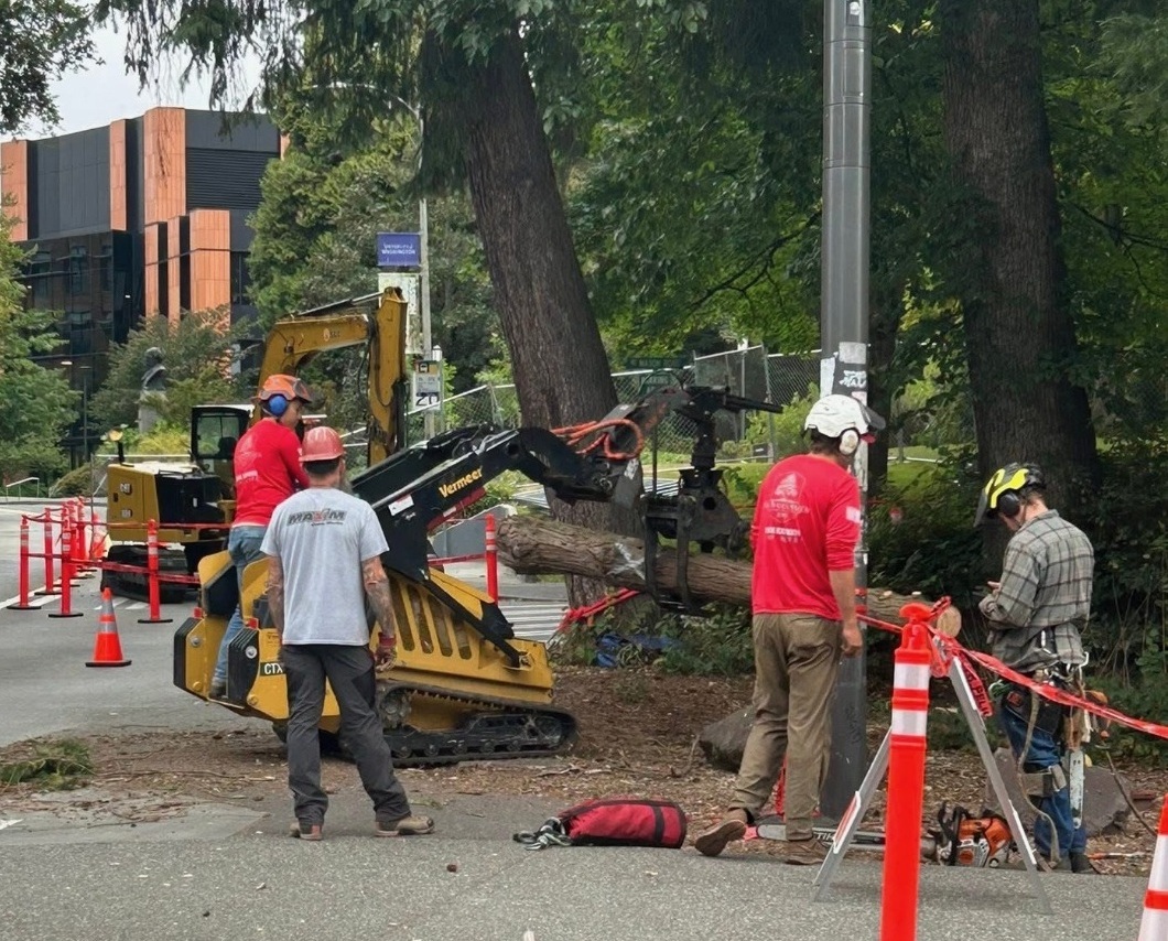 Stump grinding service