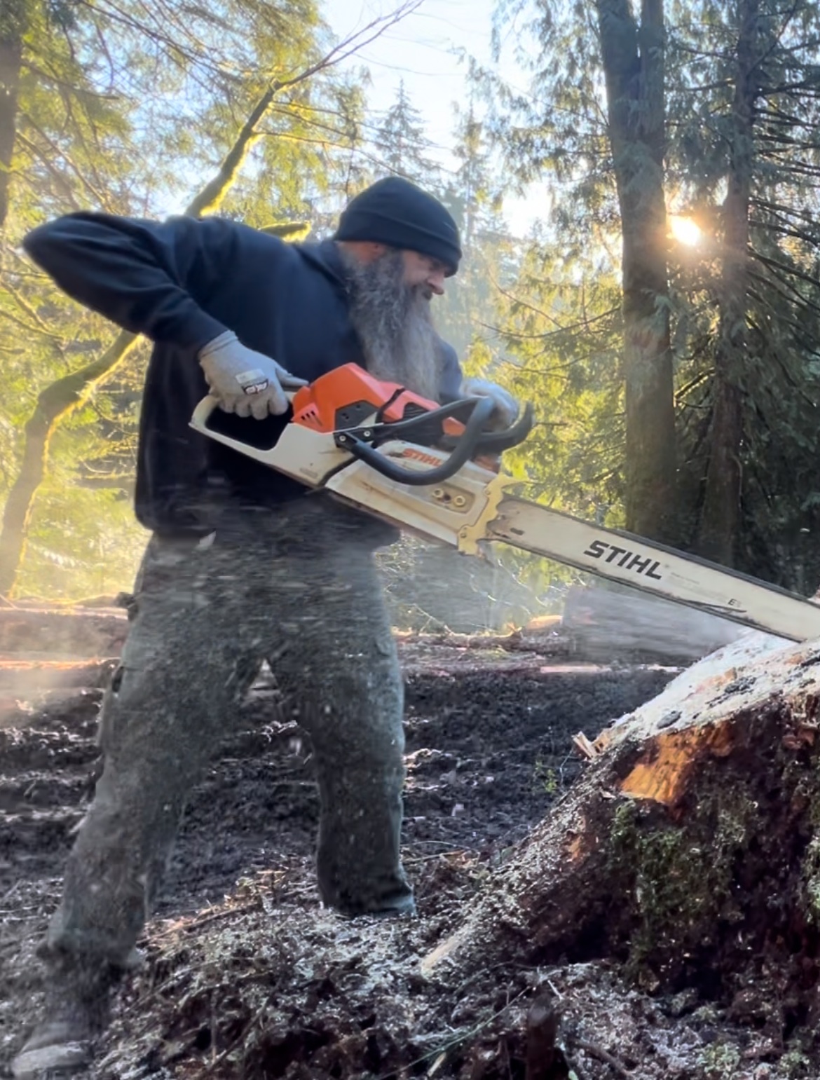 Chambers Logging Team at Work